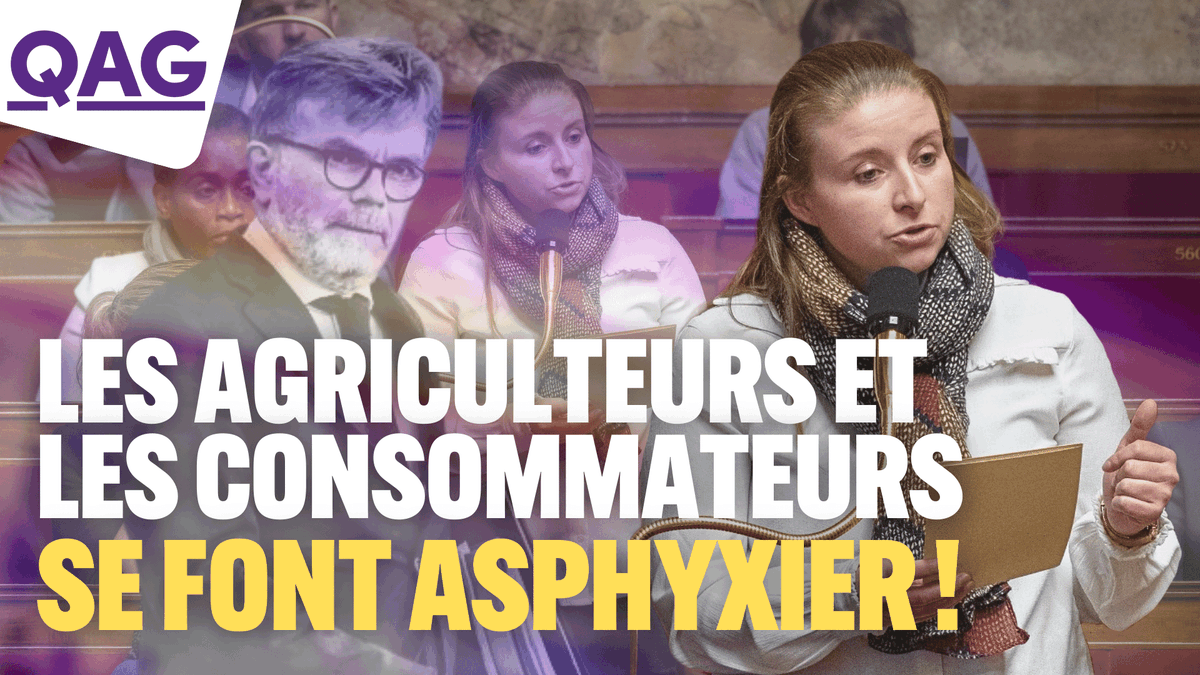 🔴🗣 « Depuis des mois nous vous alertons sur le mal-être des #AgriculteursEnColere ! Les industriels se gavent, et tout ça avec la complicité du gouvernement ! Alors réveillez vous, Marc Fesneau ! Les paysans veulent vivre de leur travail ! » - Mathilde Hignet #DirectAN #QAG