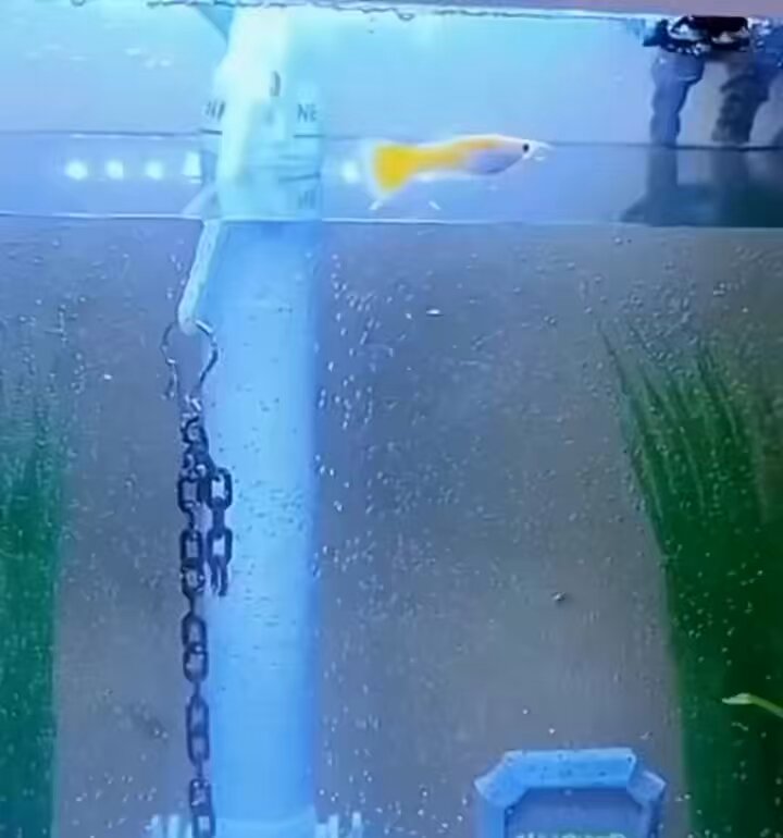 buddy just forgot there’s no water