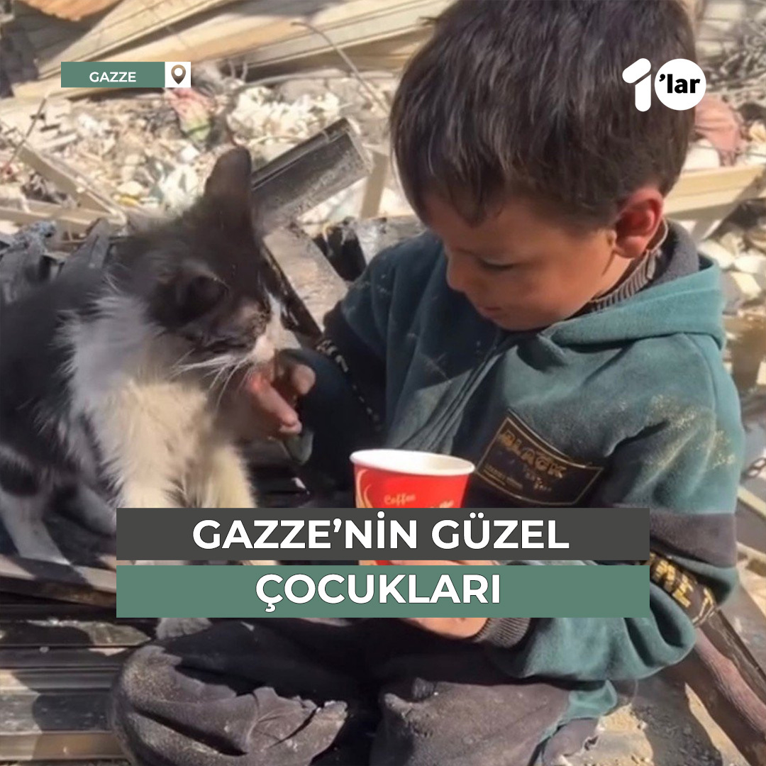 Bütün yokluğun içerisinde yemeğini kediyle paylaşan Gazzeli bir çocuk🤗 #GazaStarving