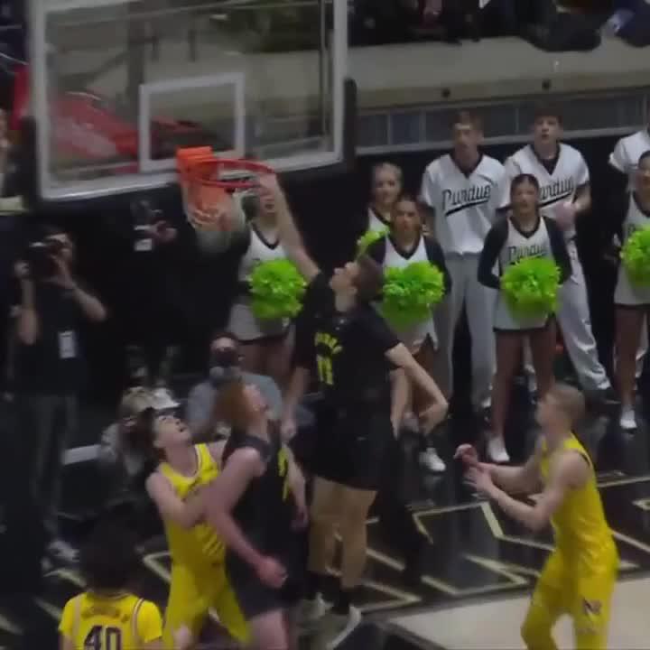 BRIAN WADDELL. THE POSTERIZER.