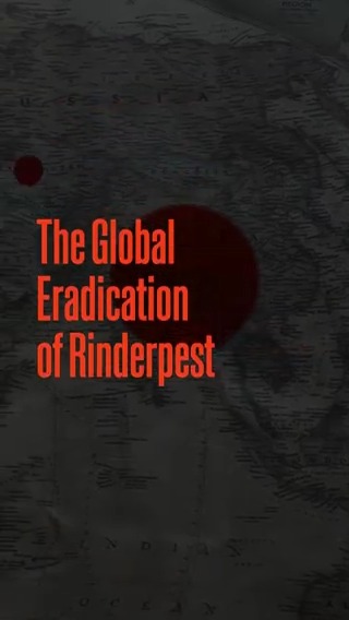 It all started with rinderpest.. #WOAH100