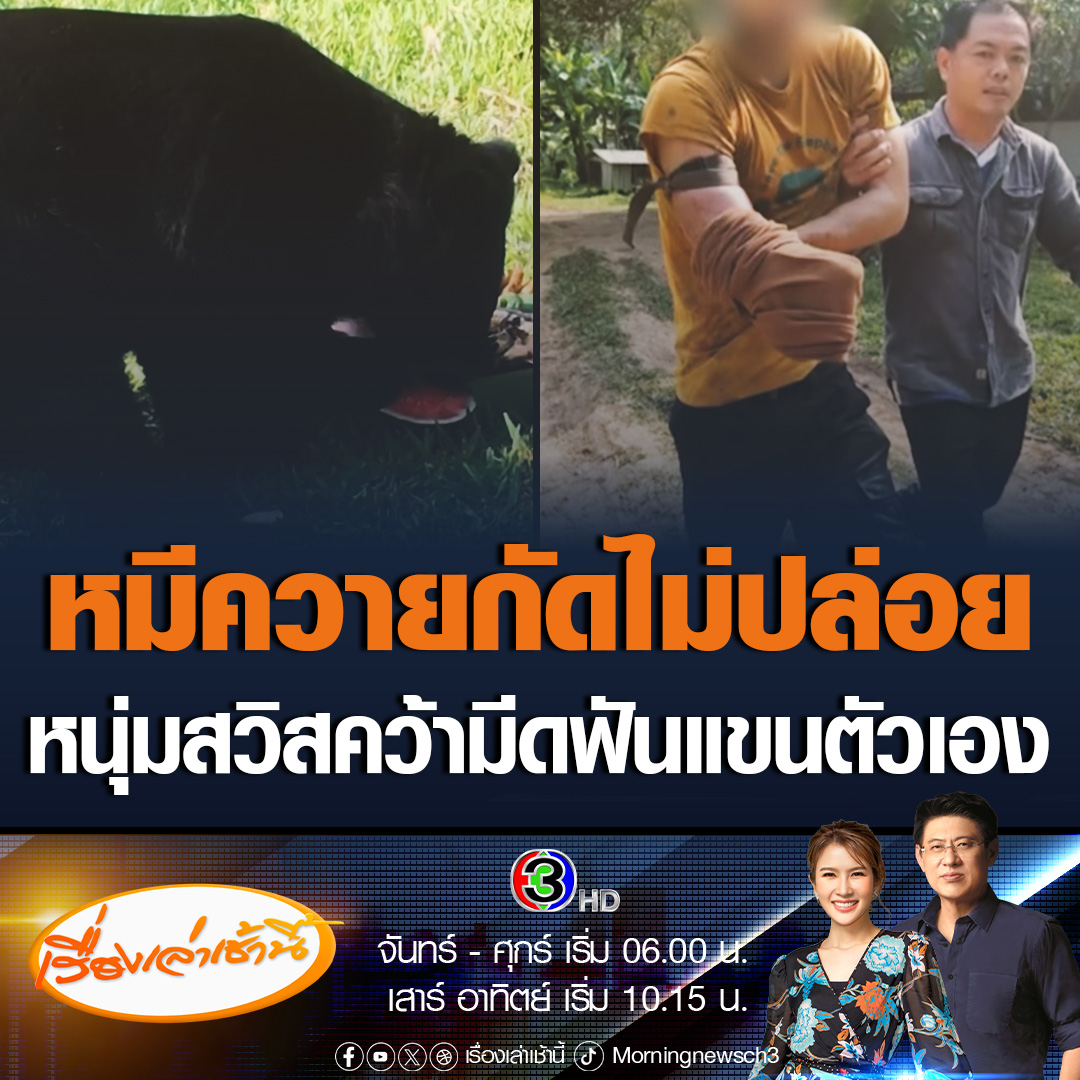 #เรื่องเล่าเช้านี้ ชายต่างชาติอาสาสมัครมูลนิธิฯ ใน อ.เชียงดาว ถูกหมีควายกัดแขน ขณะยื่นมือไปให้อาหาร ตัดสินใจใช้มีดตัดแขนขาด เพื่อเอาชีวิตรอด #ข่าวช่อง3 #ข่าวภูมิภาค #เชียงใหม่ #หมีควาย
