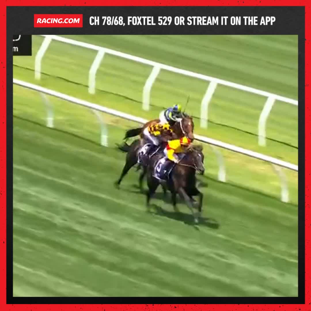 Wowee 😲 Eternal Flame turns on the afterburners & trots in for another Damian Lane winner 🔥