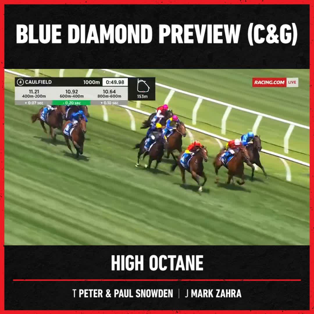It's a Snowden Racing quinella ✌ The most expensive son of Deep Field, High Octane, holds out Holmes A Court 💥