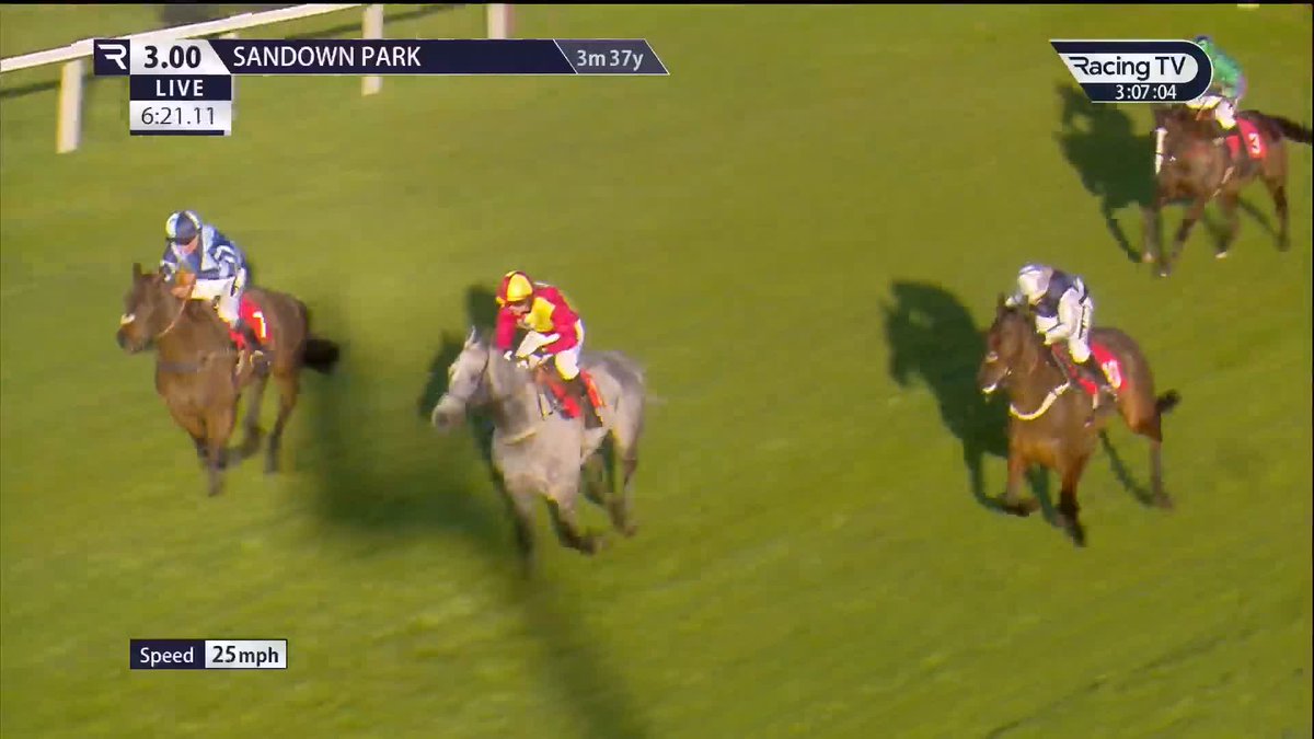 Farceur De Large is the 2024 Grand Military Gold Cup hero Former military serviceman-turned-trainer Jamie Snowden won the race four times as a rider & now enjoys a first win as a trainer with Major Will Kellard in the plate Sandown Park | @Racingclubvip