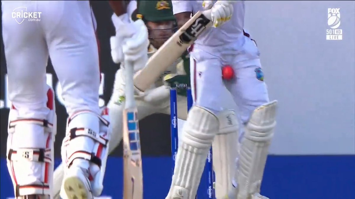 Maybe there are THREE types of leaves: The good, the bad and this one 💀 #AUSvWI