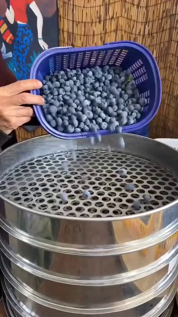 How blueberries are sorted by size 🫐👌🏼