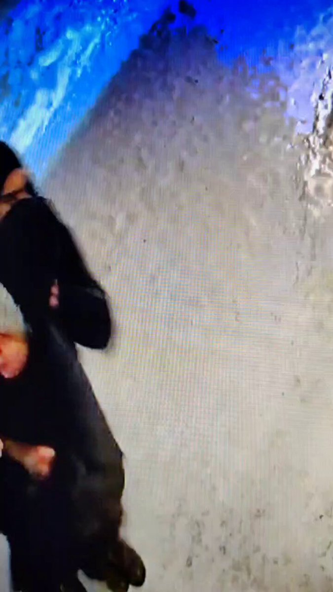 A Palestinian refugee who arrived in Saint Petersburg in Russia is suspected of trying to kidnap and rape a local woman.