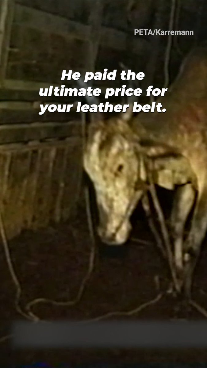 Think of this the next time you see leather at a store.