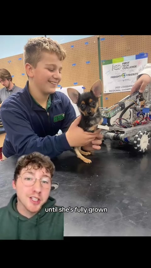 A high school robotics team built a custom wheelchair for a shelter dog named Roo. 14/10 for all