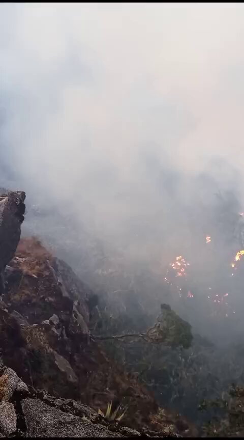 Incendios en la Sierra Nevada de Santa Marta. Los indígenas intentan apagarlos sin la ayuda de nadie