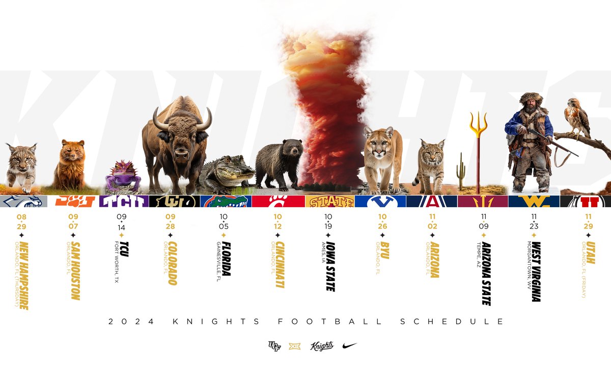 🎥 The Schedule Release