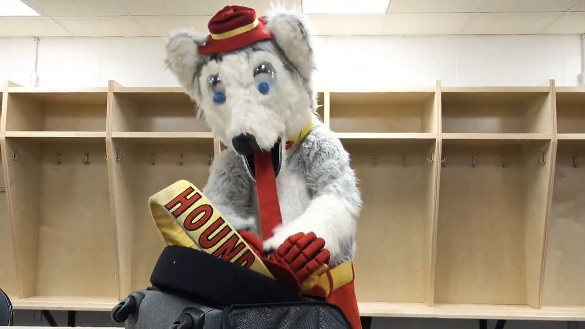 Harvey's ready for #NHLAllStar 🐶
