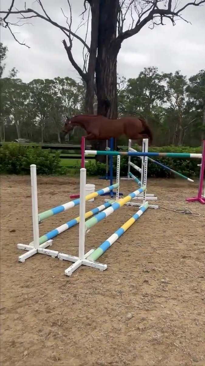 How awesome is this!? Nature Strip is loving life with Kathy O'Hara 👏
