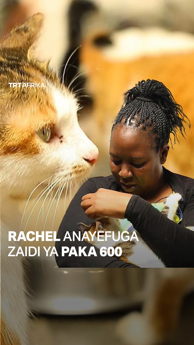 Rachel Kabue ni Mkenya aliyewekeza muda na rasilimali zake kuwatunza paka kwasababu anataka kuwapa maisha bora. Kwa sasa ana paka zaidi ya 600 na anatarajia kupata wengine wengi.