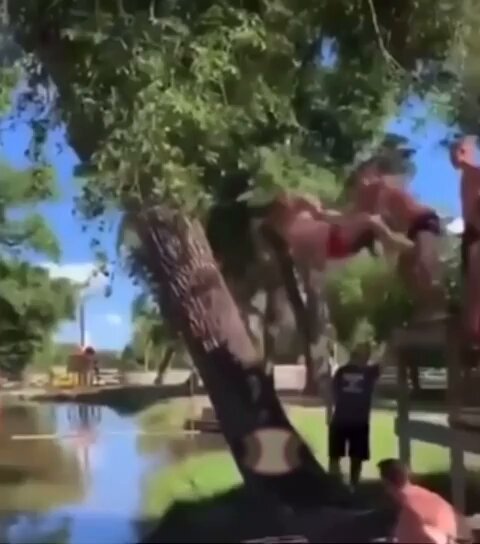 Strongest rope and branch on the market