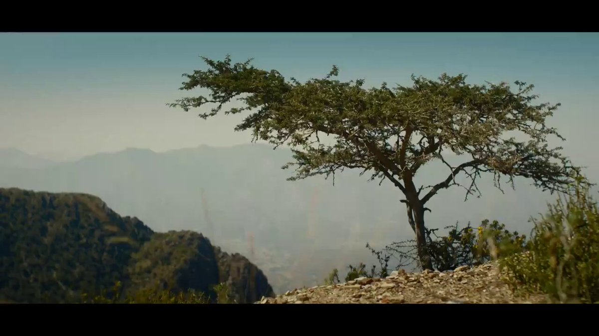 أجمل مقطع ممكن تشاهدة هذا الصباح الحق انه مثال رائع من اشخاص يعيشون بيننا حياتهم تجددت بعد التقاعد اللهم أحفظهم وبارك فيهم