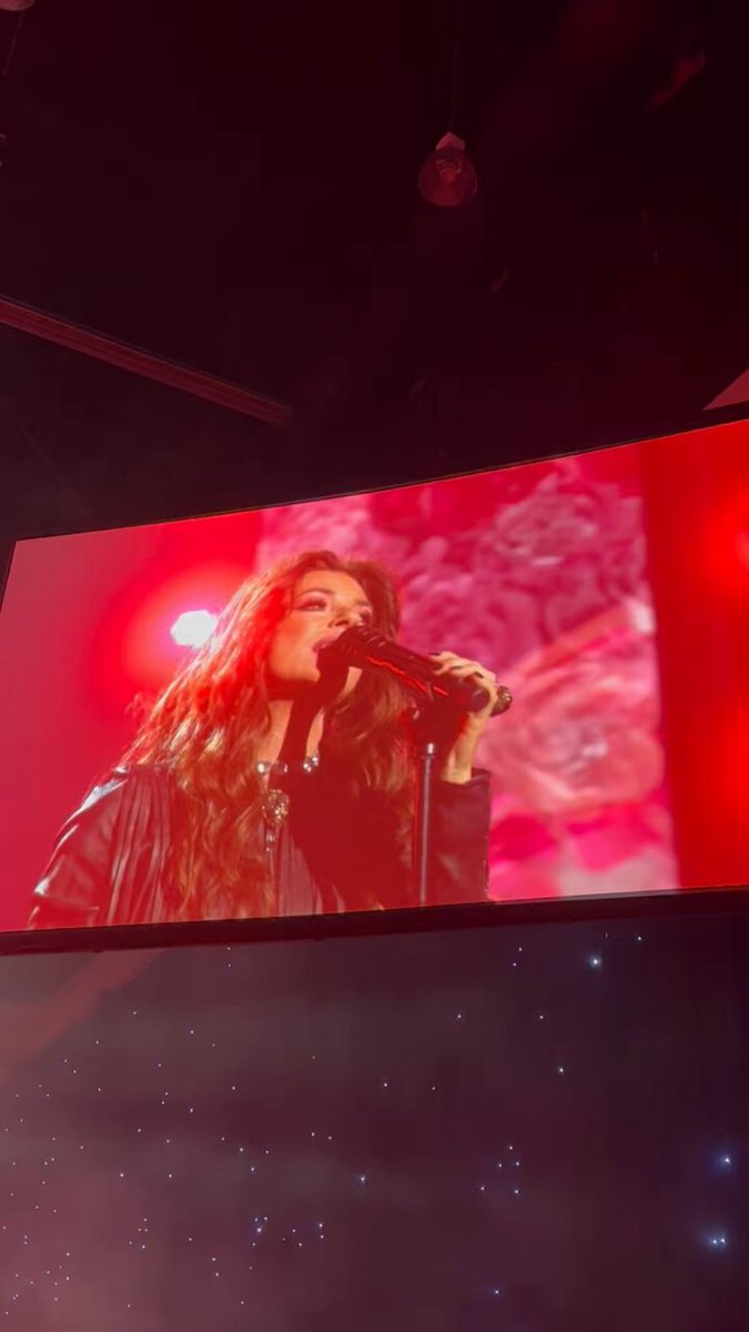 Shania Twain performs a cover of “Bed of Roses” at the MusiCares Person of the Year event honoring Jon Bon Jovi