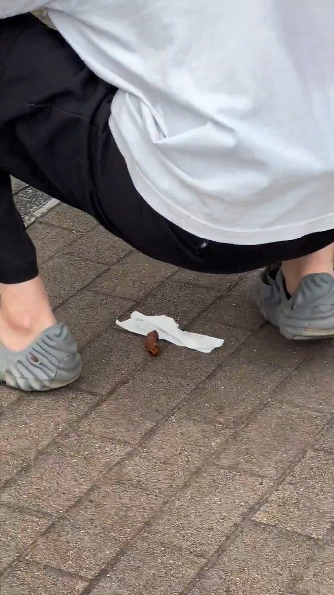 一面的な視点とその想像性について