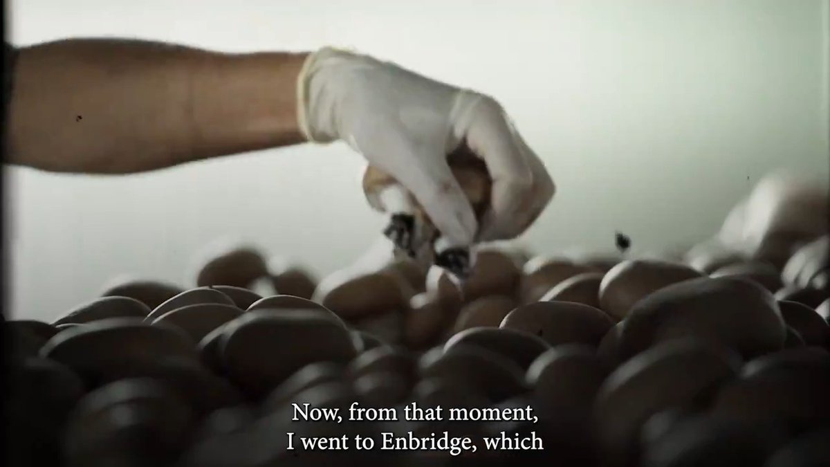 Justin Trudeau should stop hallucinating about what happened on that mushroom farm.