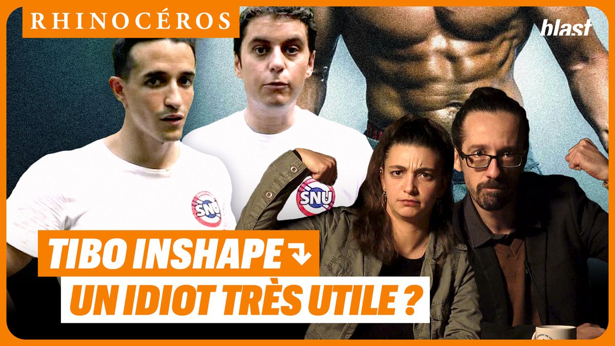 🦏 Tibo InShape : un idiot très utile ? ➡️ Damn la team Rhinocéros ! Fitness, succès, muscles, dinde... cette semaine, @UsulduFutur et Lumi s'intéressent à l'influence considérable de Tibo InShape.
