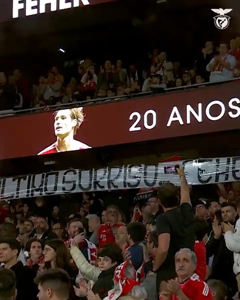 A 𝒉𝒐𝒎𝒆𝒏𝒂𝒈𝒆𝒎 a Miki Fehér ❤️ #EPluribusUnum