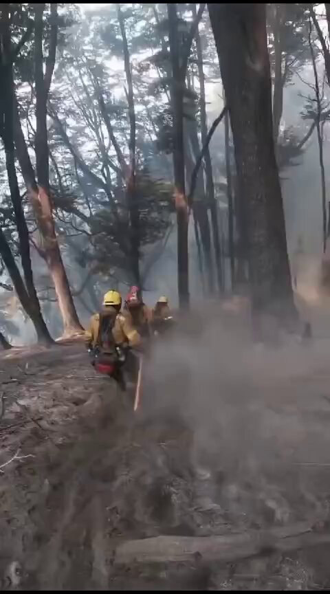 Los brigadistas esta tarde durante el combate del incendio forestal de #PNLA #Chubut. #LosAlerces en llamas Loable labor de estos muchachos