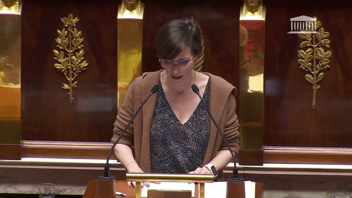 💬 "Comme le disait le regretté Chandler Bing" Caroline Abadie, députée Renaissance, cite le personnage de Friends à l'Assemblée nationale