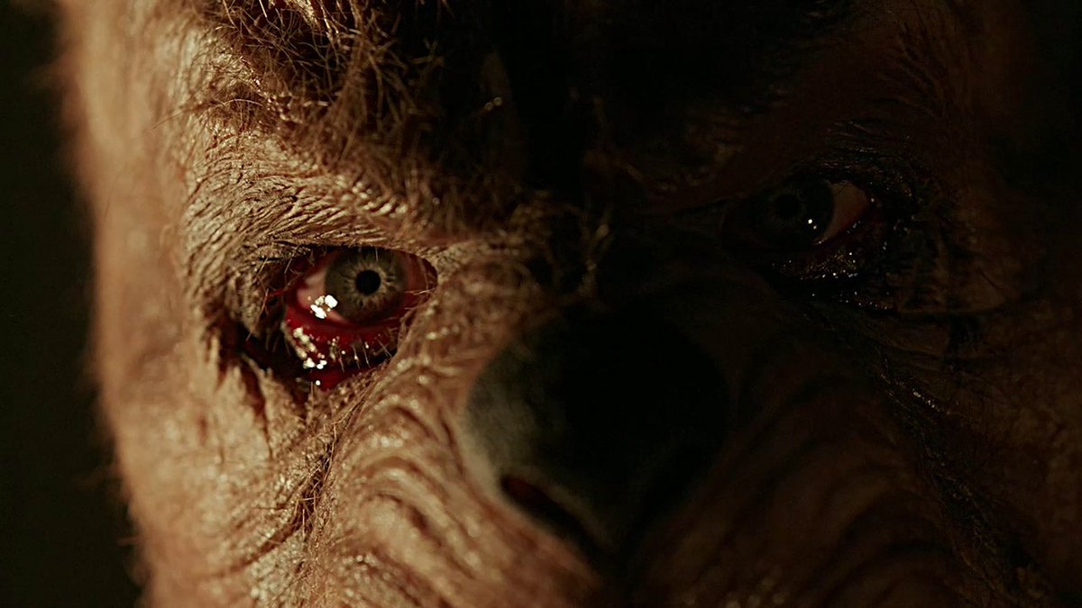 Winnie-the-Pooh, Piglet, Owl, and Tigger leave a bloody trail of death and mayhem in their wake in Winnie-the-Pooh 2: Blood and Honey. Check out the red band trailer: