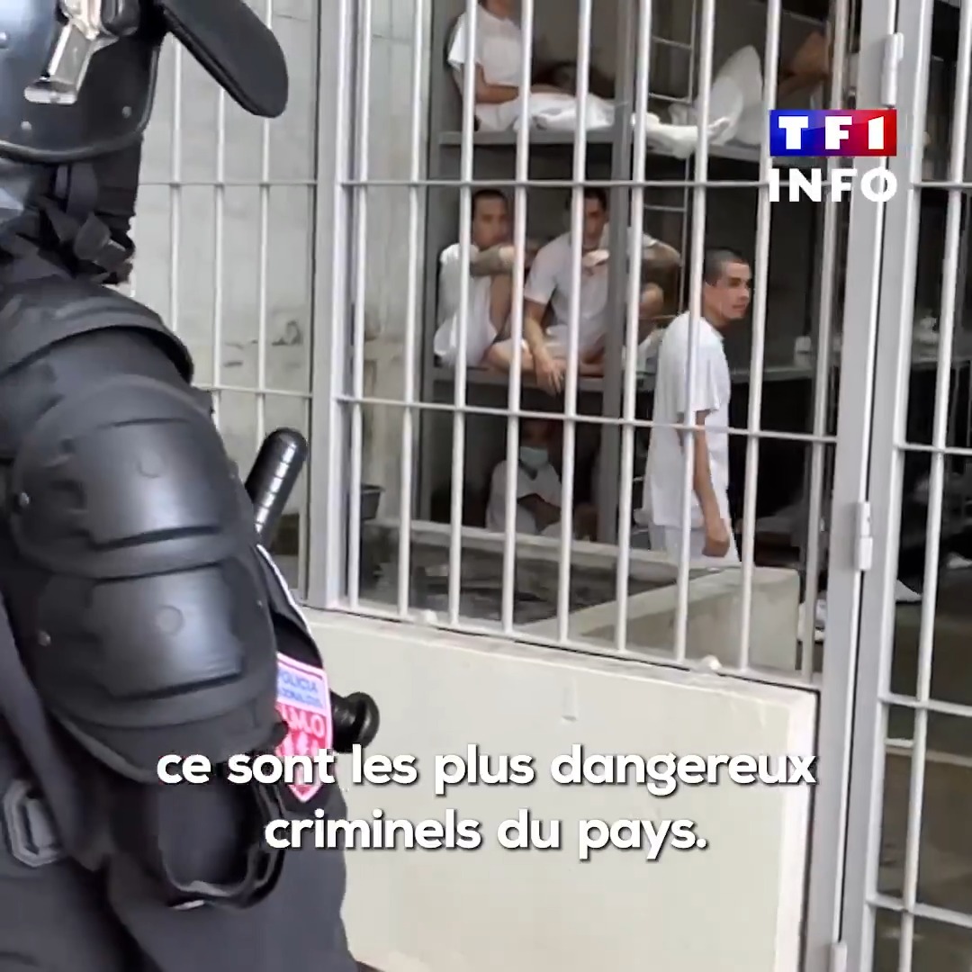 🔴 Ce soir, #LE20H de Gilles Bouleau propose un Grand Reportage exceptionnel 🎥 BORNACIN Ignacio &amp; David Pirès sont allés au Salvador, considéré comme l'un des pays les plus dangereux au monde, pour comprendre comment il est devenu l'un des plus sûrs de la planète 👇 Regardez