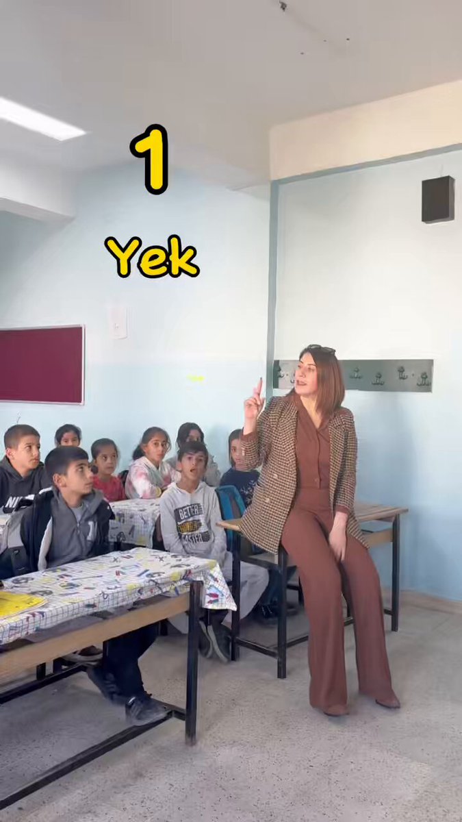 Türk Devletinin okullarında, Türk okullarının sıralarında mevcut düzene başkaldıran bu ayrılıkçı kadın hakkında işlem yapacak mısınız? Millî Eğitim Bakanlığı