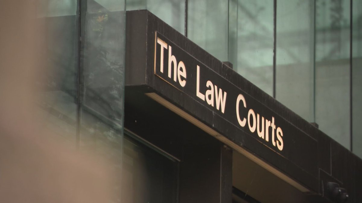 Should a lawyer be held financially liable for submitting fake case law to the courts, after using artificial intelligence? That's the questions a B.C. court case is looking into. Rumina Daya reports. READ MORE: