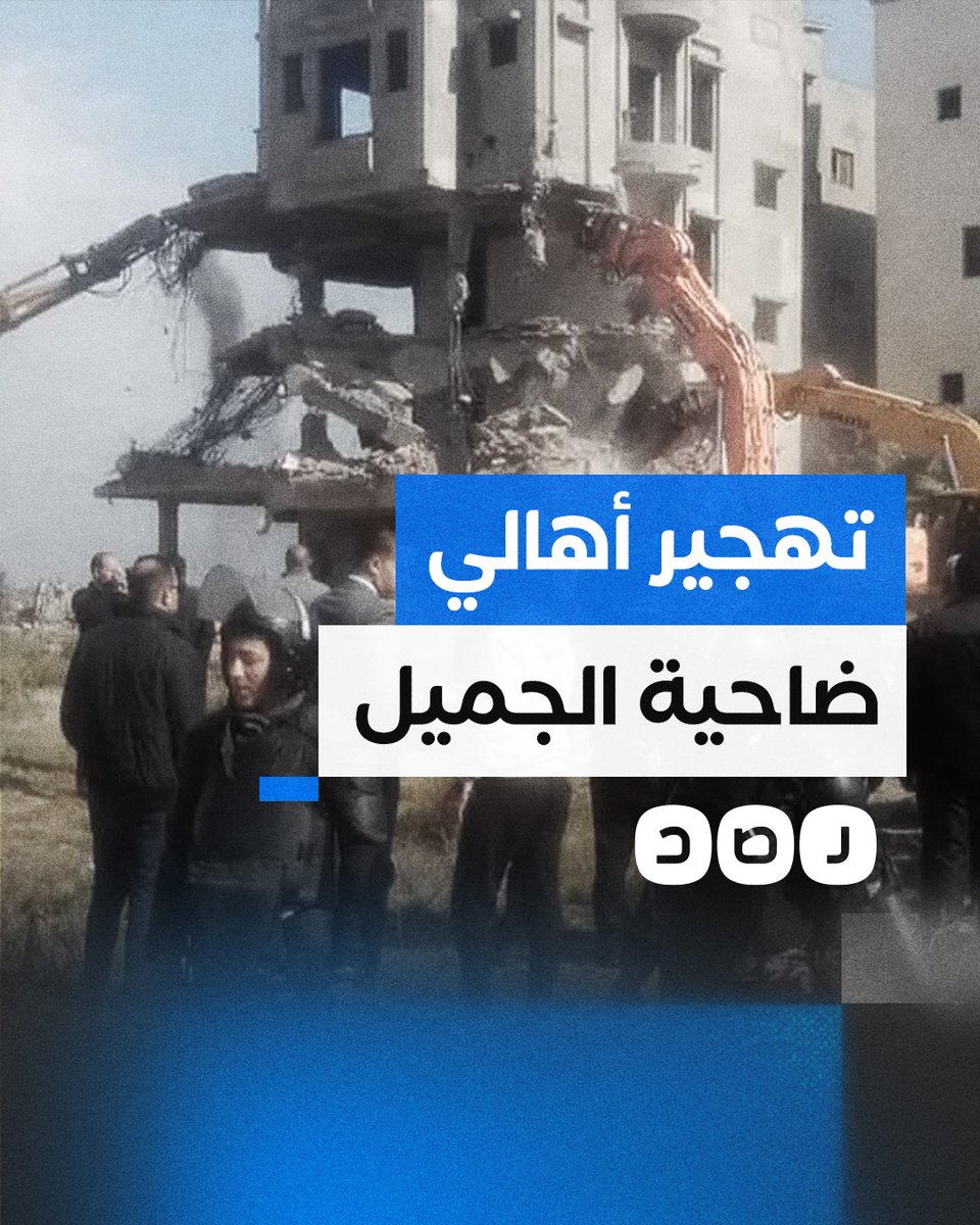لماذا تسعى الحكومة لإزالة ضاحية الجميل في بورسعيد؟
