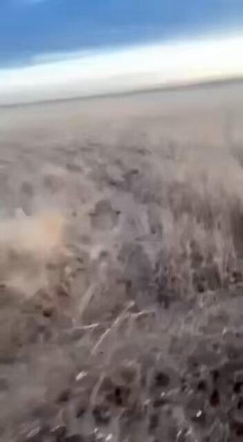 Footage of a pair of Ukrainian Storm Shadow/Scalp cruise missiles passing directly over a Russian S-400 battery in western Crimea as they head towards Belbek Airfield, 1/31.