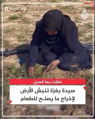 "أُخرج من باطن الأرض أي شيء حتى نأكل".. سيدة في غزة تنبش الأرض بحثًا عن الطعام بعدما ضاقت بها السبل!!