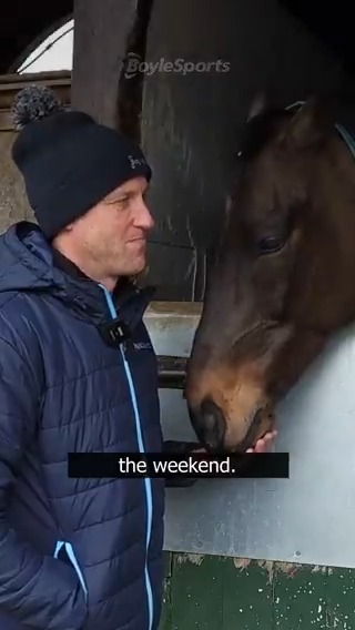 8️⃣ Grade 1 races, 8️⃣ winners 🏇 We caught up with Robbie "Puppy" Power to get his thoughts Willie Mullins' dominance at Dublin Racing Festival. 👀 Find more racing insight from Robbie here -