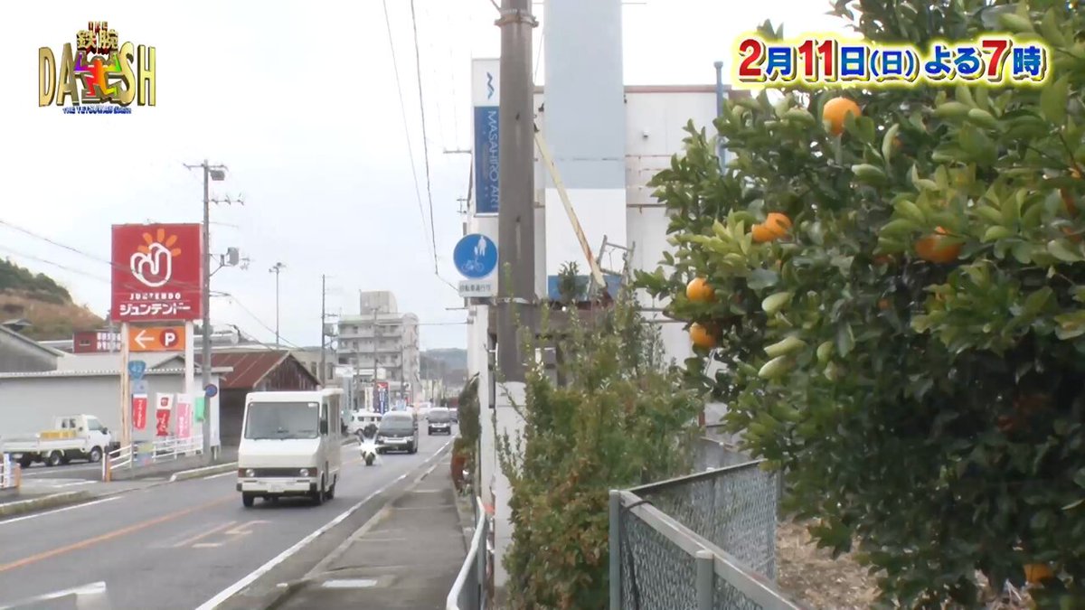 ／ 日曜よる7時 #鉄腕DASH🧑‍🍳💙 ＼ #0円食堂 冬の和歌山で 捨てちゃう食材探し🍅🥦 ⋱ 人見知り⋰ #京本大我 ( #SixTONES ) DASHロケ初参戦🩷！ 江戸から続く㊙︎みかん🍊 鶏肉を使った創作料理に！ 「森本製麺所」爆誕‼️ 餃子の皮で極太パスタ🍝💚 #TOKIO #国分太一 #森本慎太郎