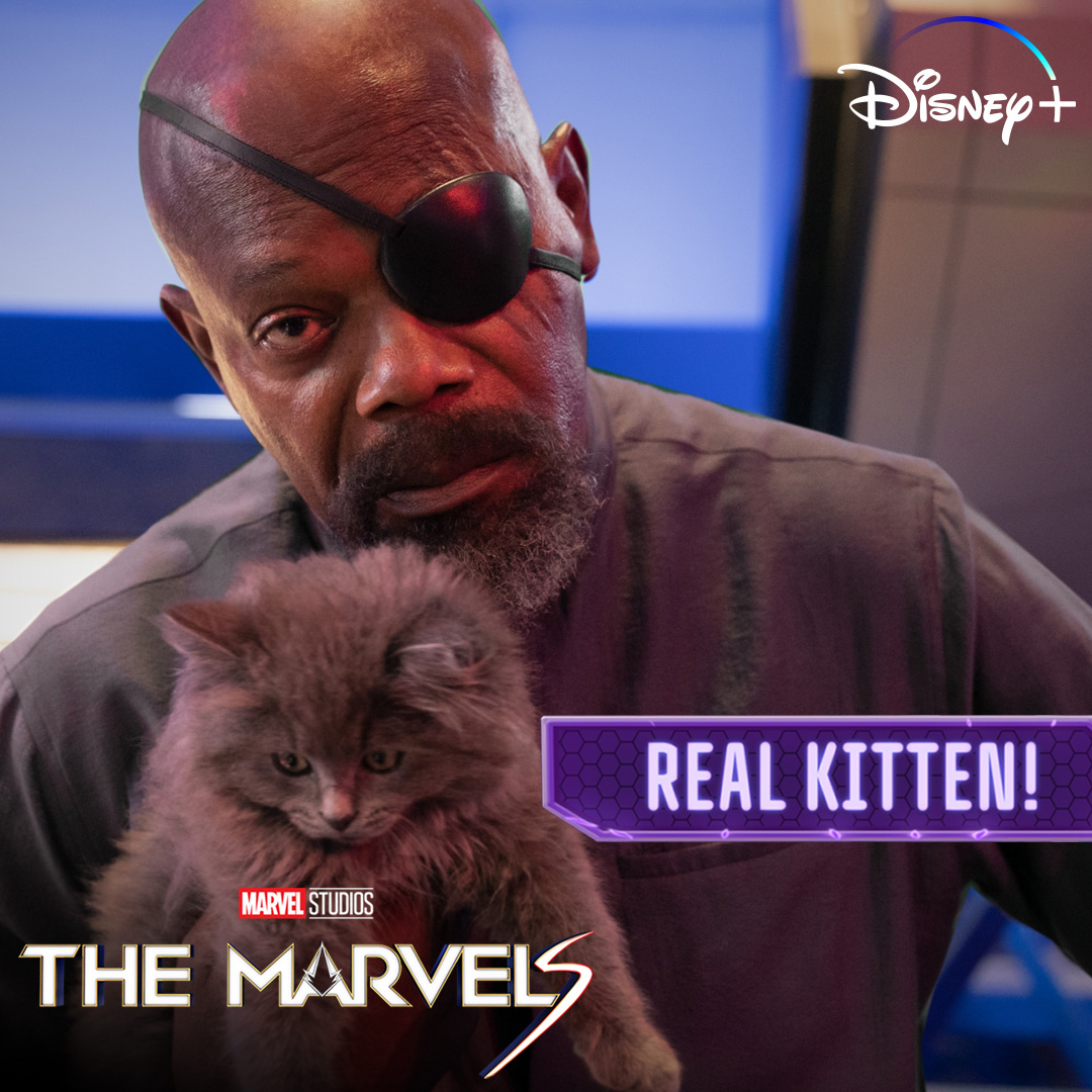 Meet the Flerkittens! VFX Supervisor Tara DeMarco brings us behind the scenes of Marvel Studios’ #TheMarvels, now streaming on Disney+.