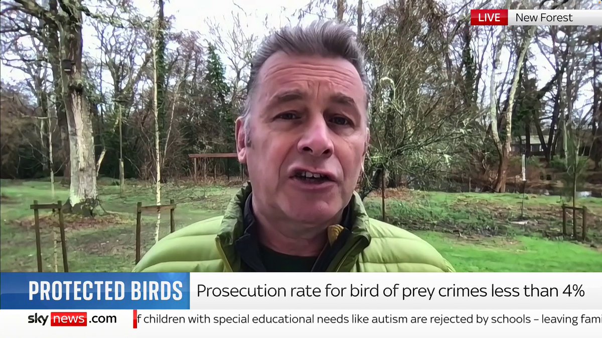 A conservation charity has found that people who commit crimes against birds of prey face a less than 4% prosecution rate. Chris Packham says some police officers "don't consider it to be quite as serious a crime as we think it is" Story: 📺 Sky 501