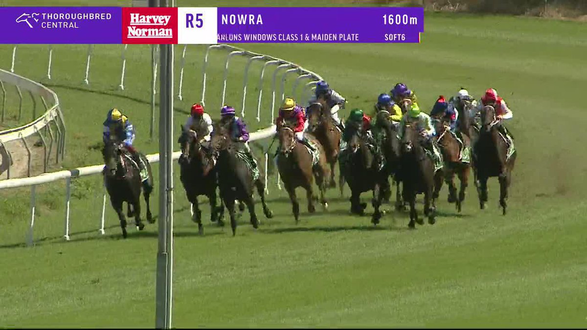It's Grant buckley who rides the 5yo gelding Open Sky to victory in the 5th at Nowra for the Mitchell Beer Racing stable! 🏇