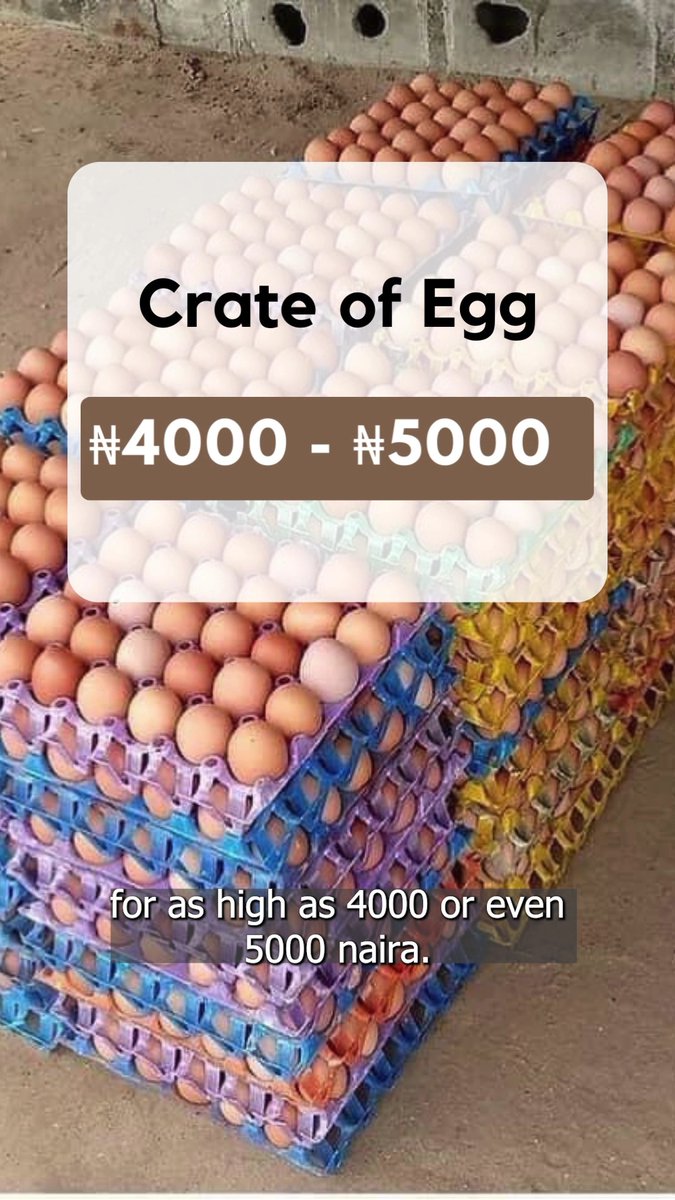 Eggs are really expensive right now. Here's why... #costofliving #CostOfFood