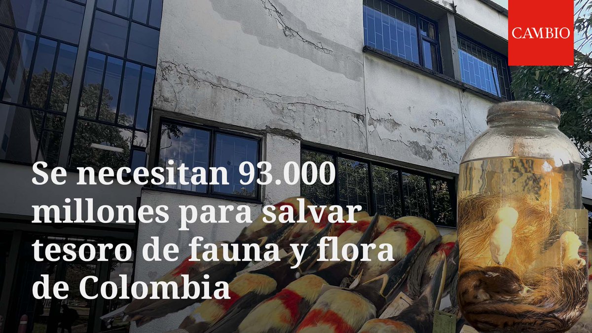 El Instituto de Ciencias Naturales de la Universidad Nacional cuenta con las colecciones biológicas más importantes del país. Sin embargo, su infraestructura está cayéndose y, recientemente, las lluvia se filtró al edificio. ‣ Pía Wohlgemuth 💚💜