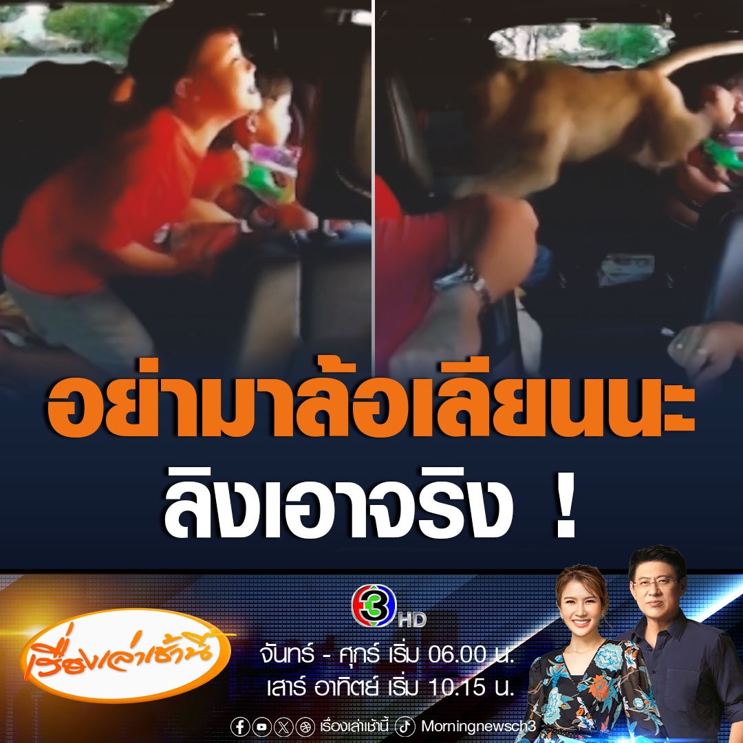 #เรื่องเล่าเช้านี้ พ่อพาครอบครัวไปเที่ยว แล้วเจอลิงที่เขาตะเกียบ ลูกๆจึงทำท่าล้อเลียนลิงที่อยู่นอกรถ สักพักลิงทนไม่ไหว พุ่งเข้ามาในรถแย่งขนมจากมือ ก่อนจะปีนออกไป ทำเอาตกใจทั้งรถ #ข่าวช่อง3 #ข่าวโซเชียล #ลิง #เขาตะเกียบ