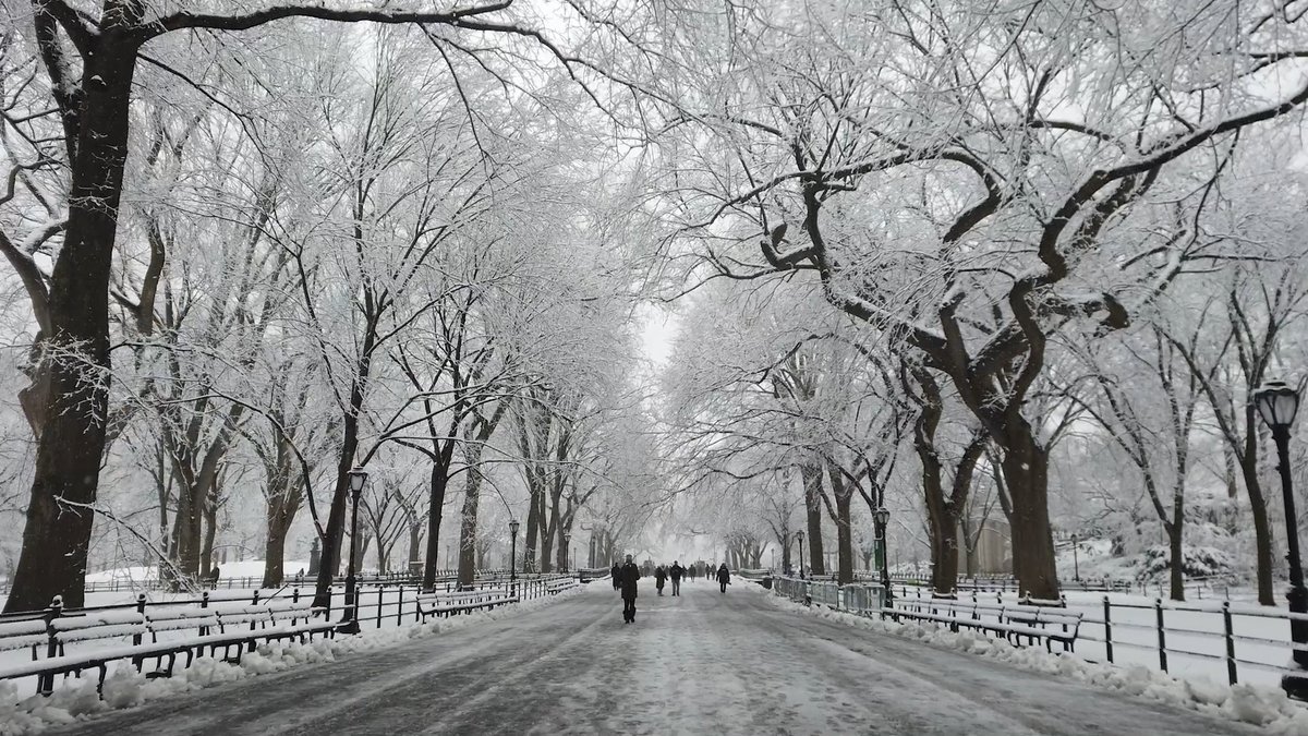 🔊 New Yorkers, immerse yourselves in the serene beauty of the Mall during a snowfall. Lean into winter and let the soothing sounds of Central Park be your escape from the bustling city.