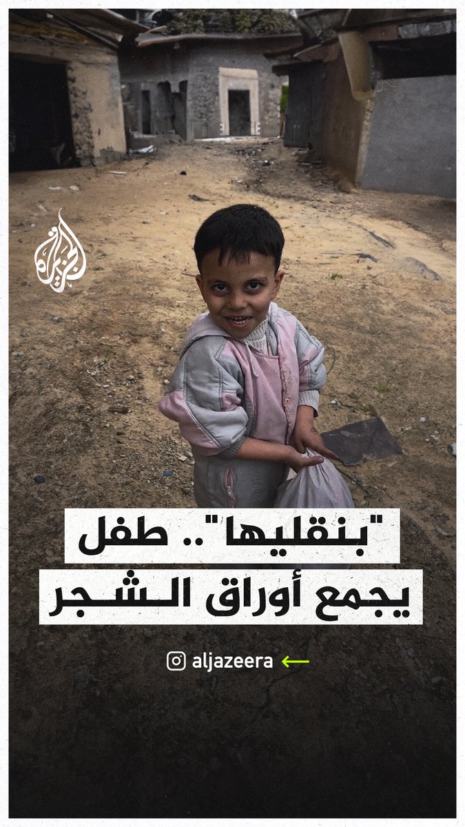 طفل فلسطيني يجمع أوراق الشجر للحصول على الطعام في ظل الأزمة الغذائية التي يمر بها أهالي قطاع #غزة بفعل الحرب الإسرائيلية #حرب_غزة