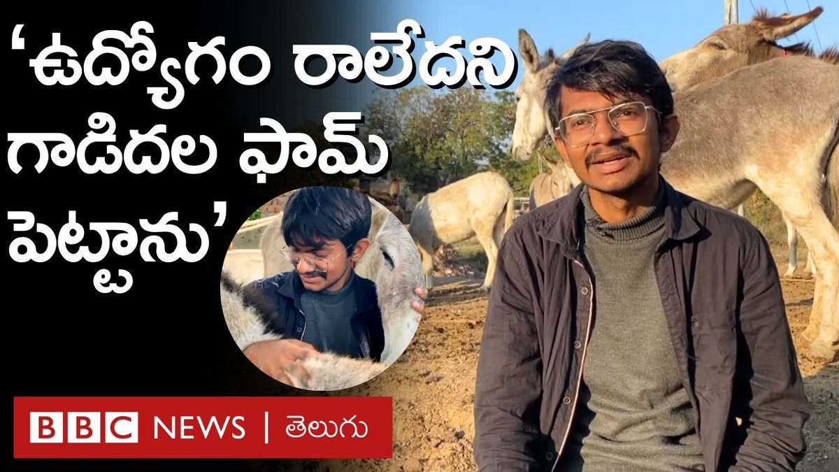 ‘ఉద్యోగం రాలేదని గాడిదల ఫామ్ పెట్టాను. లీటర్ గాడిద పాలు రూ.7 వేలకు అమ్ముతున్నా..’ #donkeyfarm #donkey #startup