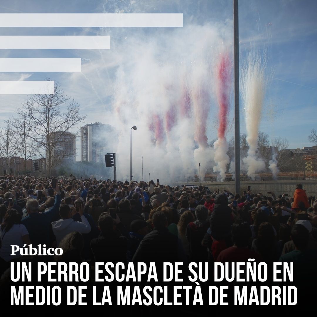 Un perro, muerto de miedo en la mascletà de Madrid, escapa de su dueño
