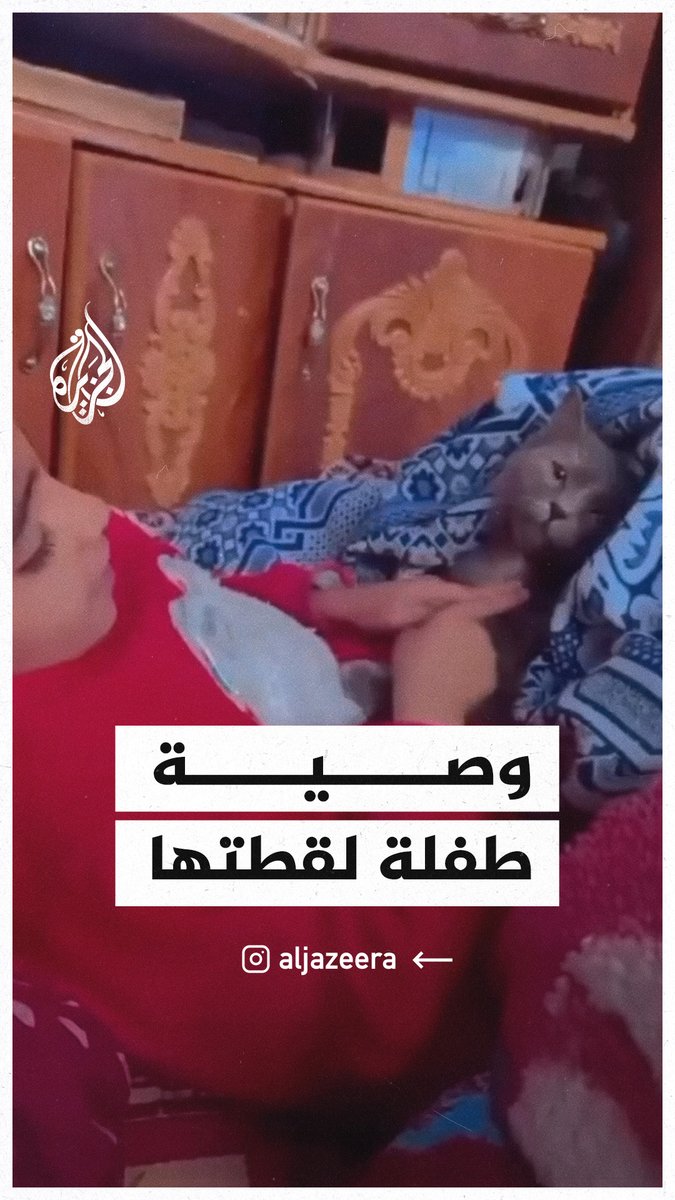 بعد انتشار مشاهد لقطط تأكل جثامين الشهداء في غزة.. طفلة توصي قطتها بعدم أكل جثامينهم بعد استشهادهم #حرب_غزة