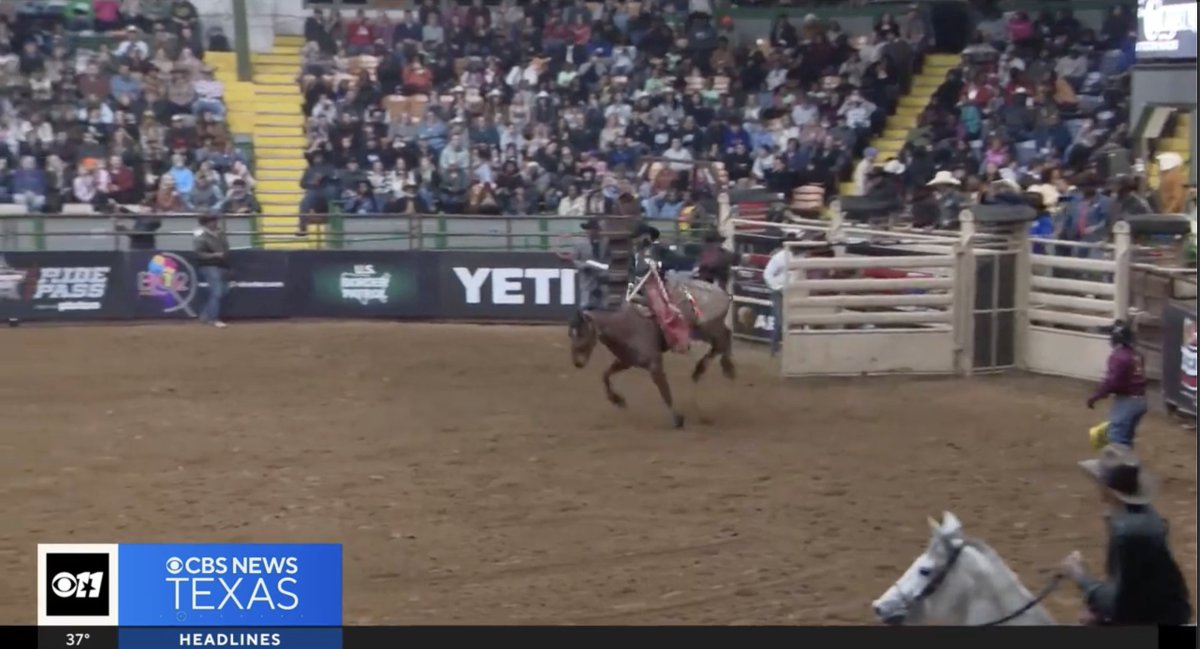 The Bill Pickett Invitational Rodeo is celebrating Black cowboys for Black History Month! The invitational showcases Black cowboys and cowgirls and gives them a platform for them to showcase their skills! What a special way to to bring the community together!