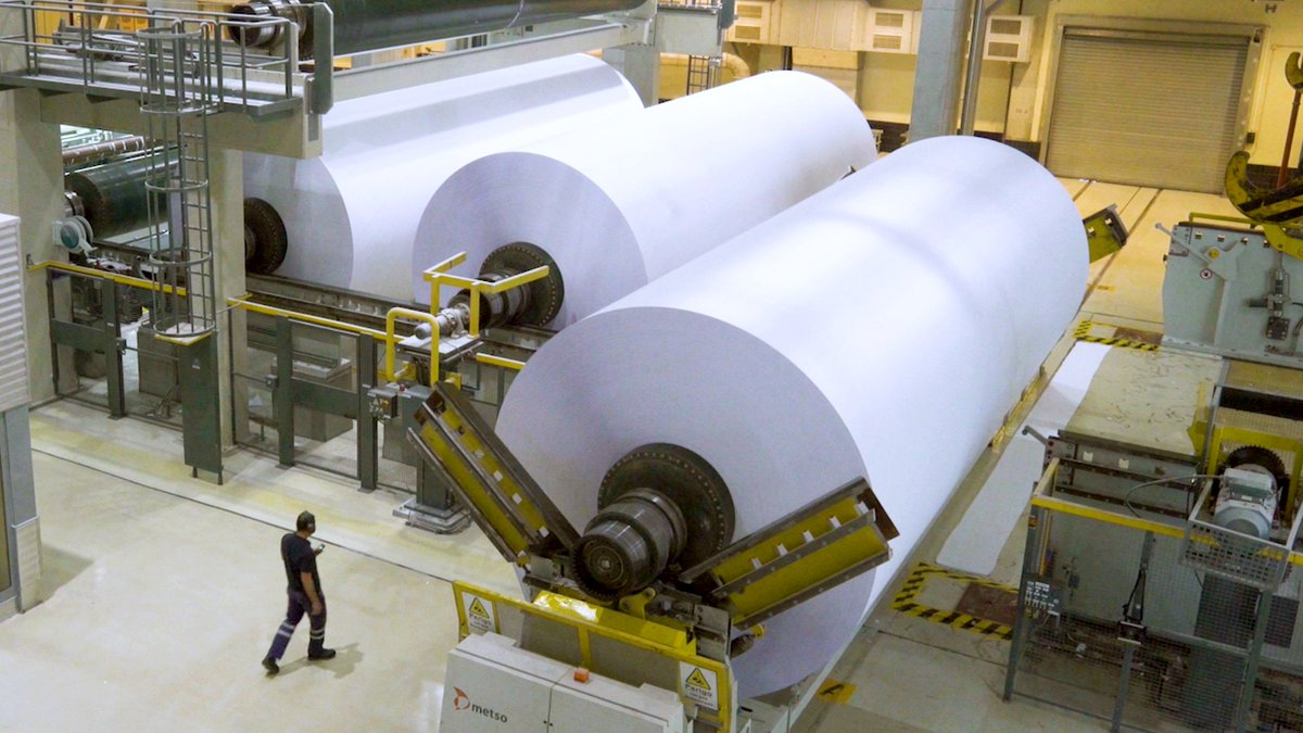 Scientists in Portugal have been genetically enhancing eucalyptus trees to make paper
